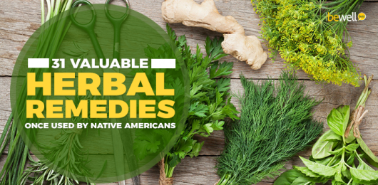 31 Valuable Herbal Remedies Once Used by Native Americans