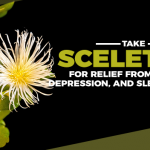 Why You Need to Take Sceletium Supplement