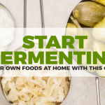 Fermentation: Why You Need Fermented Foods And How To Make Them