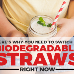 All You Need to Know About Biodegradable Straws