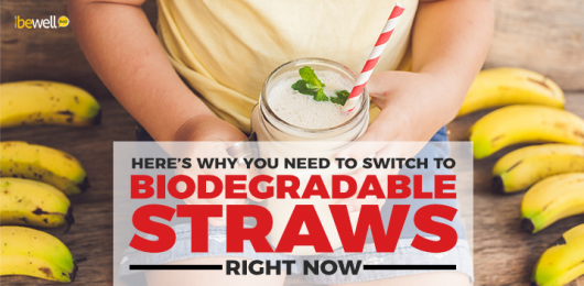 Here’s Why You Need to Switch to Biodegradable Straws Right Now