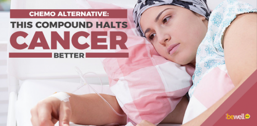 Chemo Alternative: This Compound Halts Cancer Better