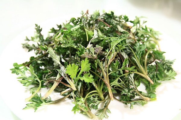 Wormwood is a proven natural remedy for treating intestinal parasites.