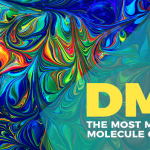 DMT: A Most Mysterious Molecule? Or A Drug?