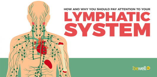 How and Why You Should Pay Attention to Your Lymphatic System