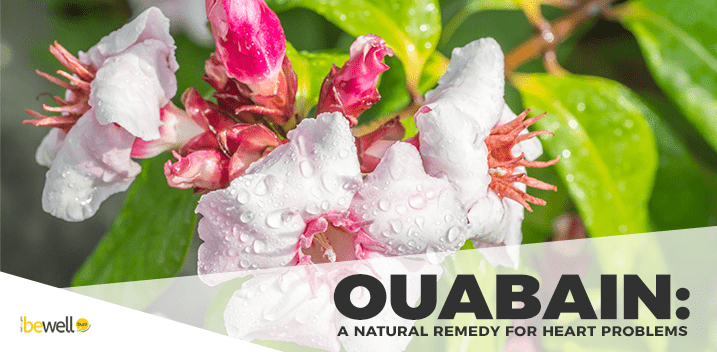 Ouabain: A Natural Remedy for Heart Disease