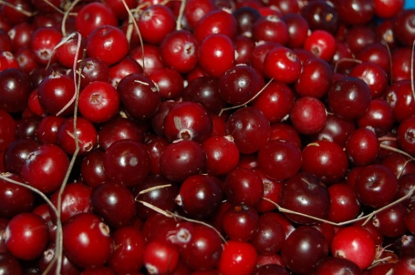 Cranberries are a superfood and make a superdrink.