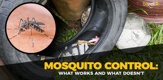 The Myth and Reality of Mosquito Repellents