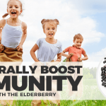 Elderberry: The Best Natural Remedy for Cold and Flu
